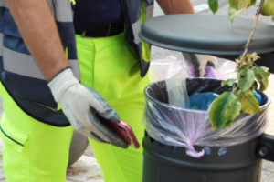 Servizi territoriali